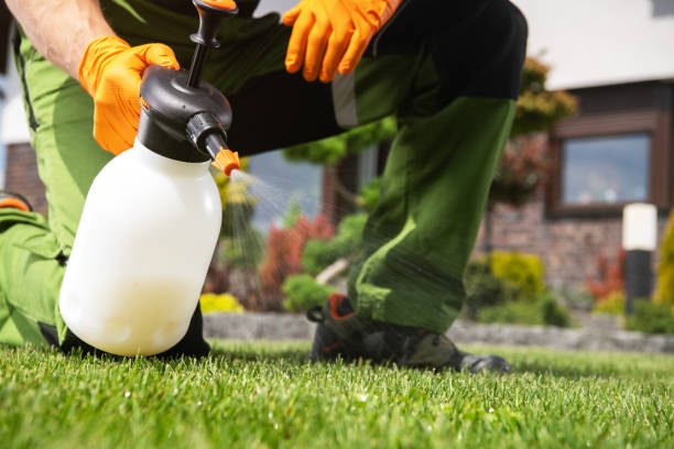 Best Bed Bug Extermination  in Prospect, OH