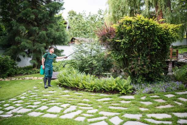 Best Residential Pest Control  in Prospect, OH