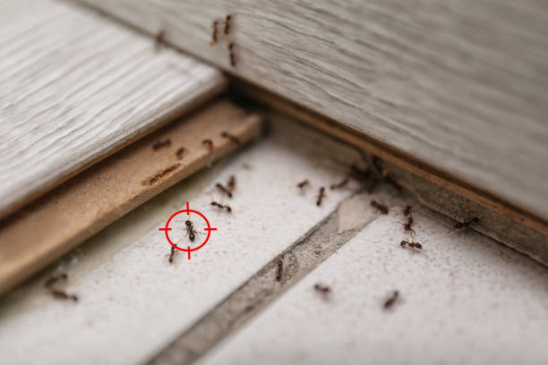 Best Wildlife Control Services  in Prospect, OH