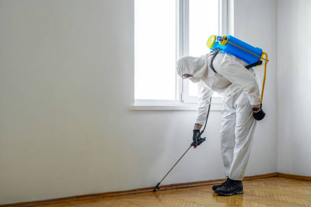 Flea Control Services in Prospect, OH