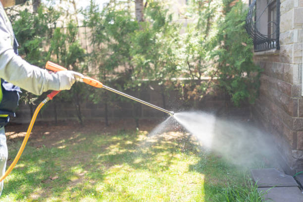Best Local Pest Control Services  in Prospect, OH
