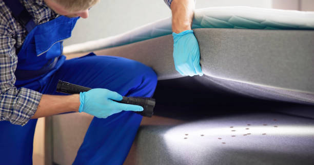 Best Cockroach Control Services  in Prospect, OH
