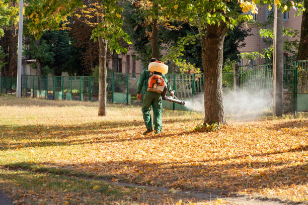 Reliable Prospect, OH Pest Control Solutions
