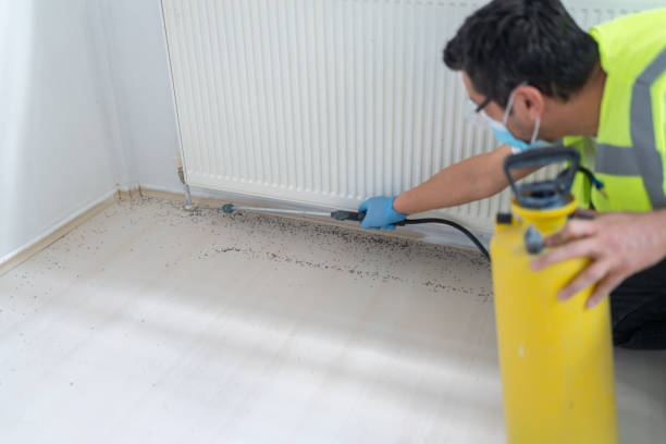 Pest Control for Restaurants in Prospect, OH