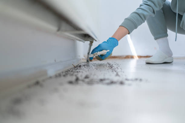 Best Exterminator Services  in Prospect, OH