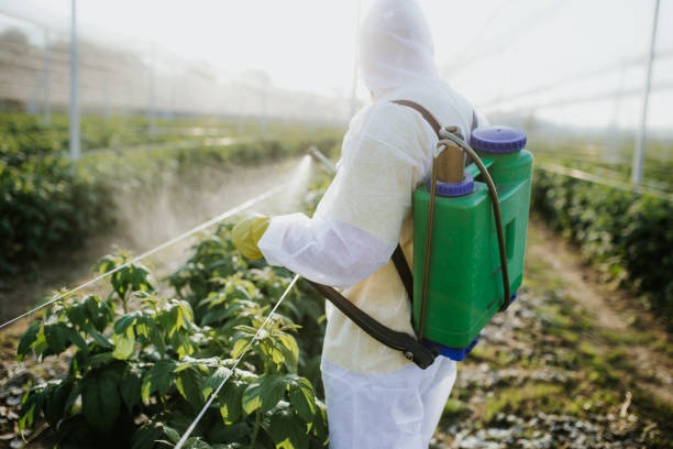 Best Wasp Removal Services  in Prospect, OH
